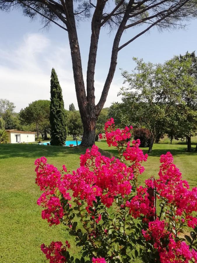 Domaine De Poudos Acomodação com café da manhã Auterive  Exterior foto